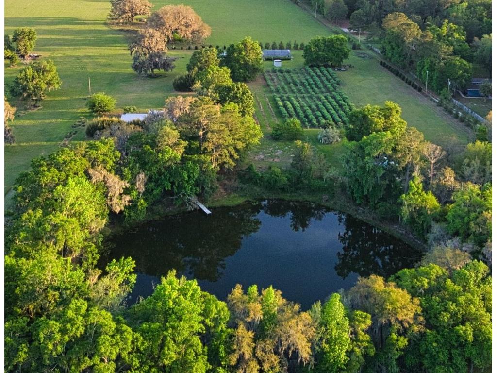 16515 W County Road 1491 Alachua FL 32615 O6286522 image1