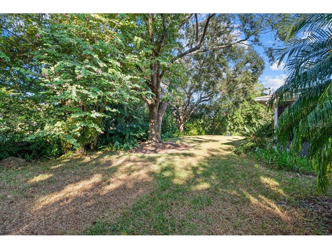 16516 Oley Ridge Court Tampa FL 33624 TB8444333 image36