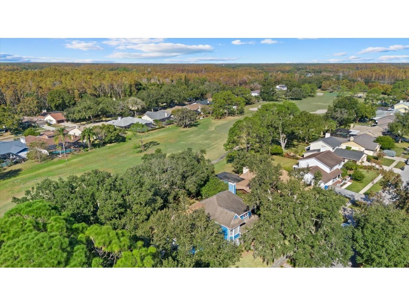 16516 Oley Ridge Court Tampa FL 33624 TB8444333 image38