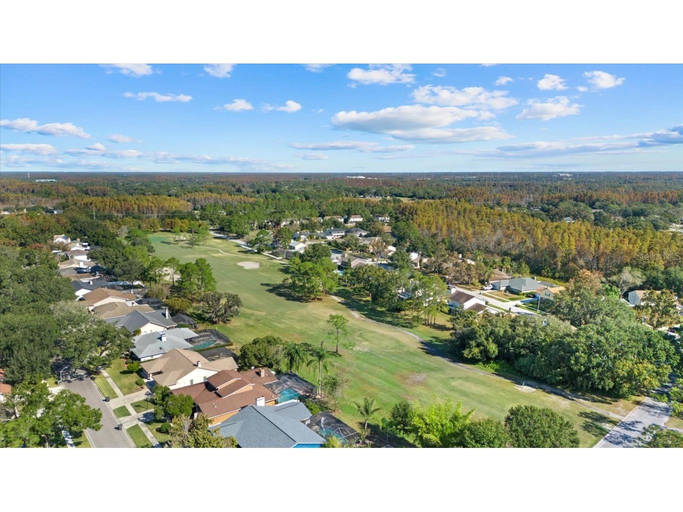 16516 Oley Ridge Court Tampa FL 33624 TB8444333 image39