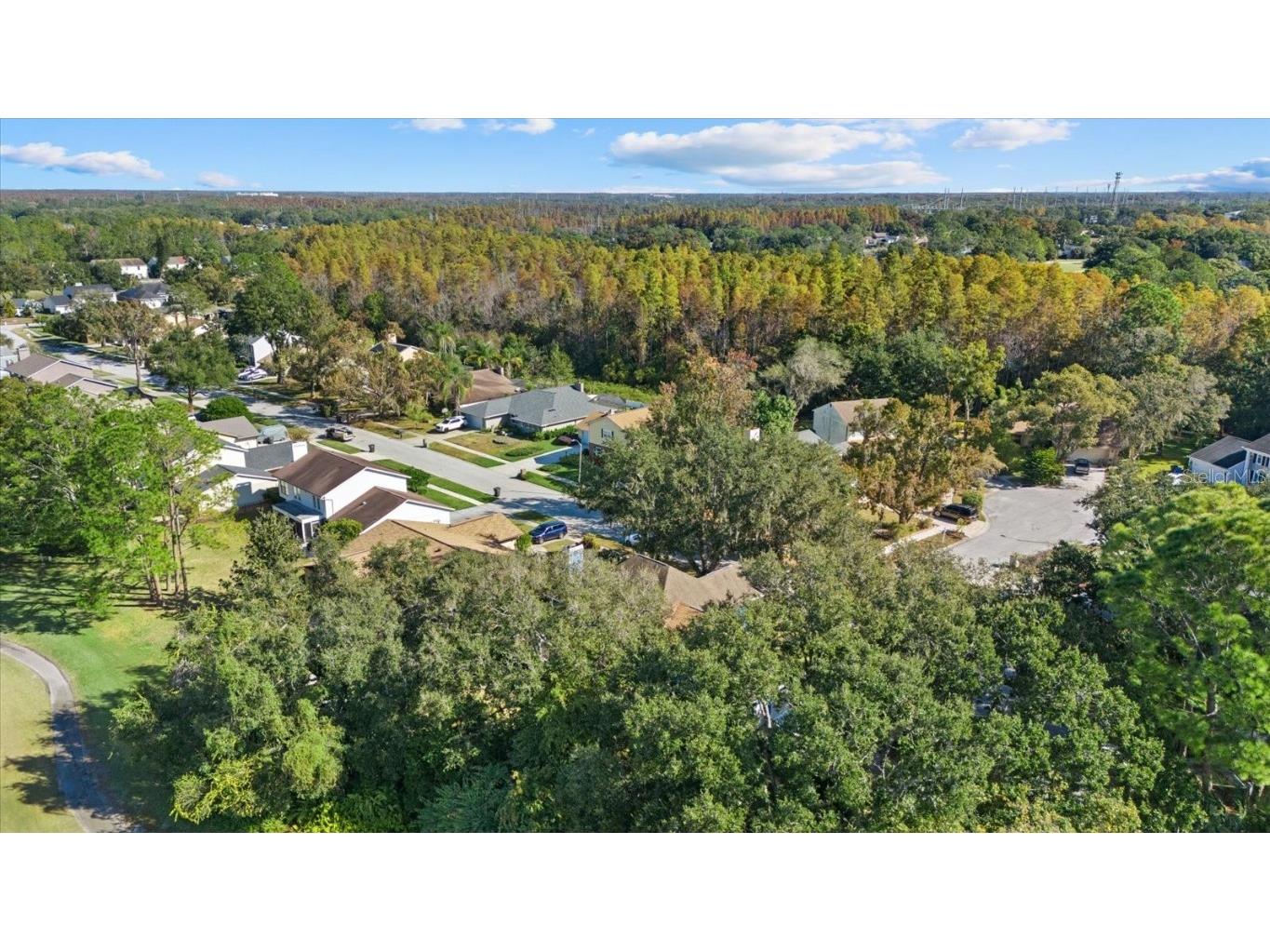 16516 Oley Ridge Court Tampa FL 33624 TB8444333 image40