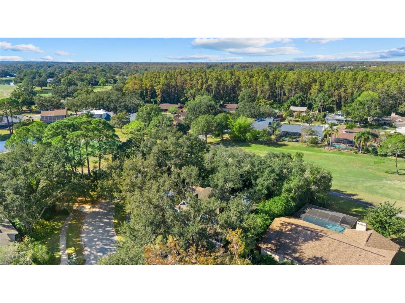 16516 Oley Ridge Court Tampa FL 33624 TB8444333 image42