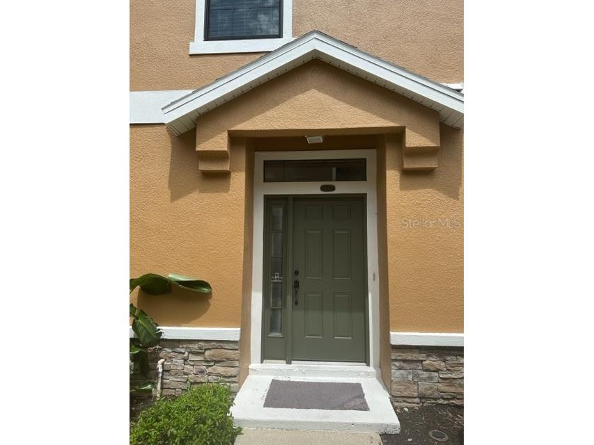 16517 Kingletridge Avenue Lithia FL 33547 T3458915 image1