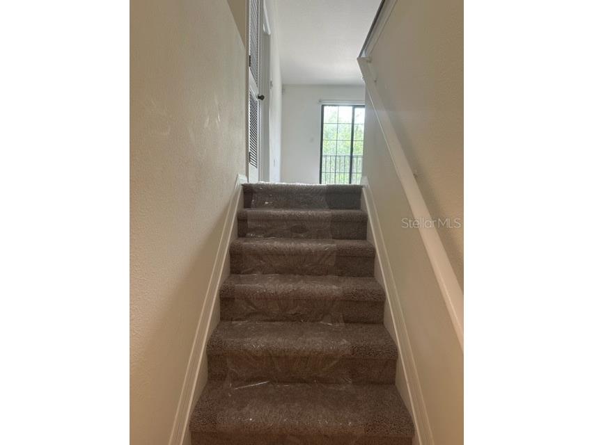 16517 Kingletridge Avenue Lithia FL 33547 TB8452594 image10