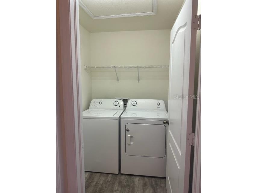 16517 Kingletridge Avenue Lithia FL 33547 TB8452594 image11