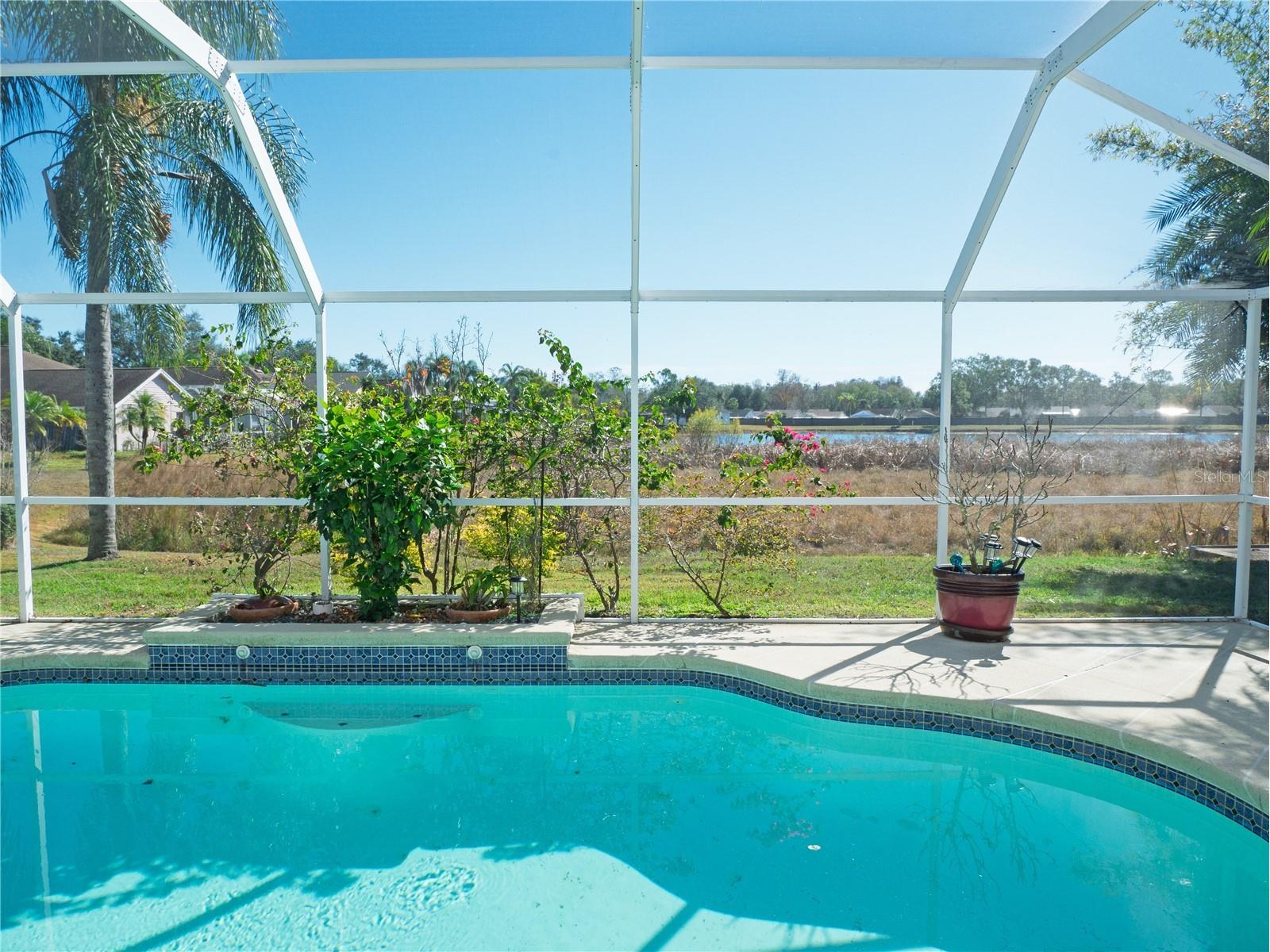 16517 Lake Heather Drive Tampa FL 33618 TB8431624 image1