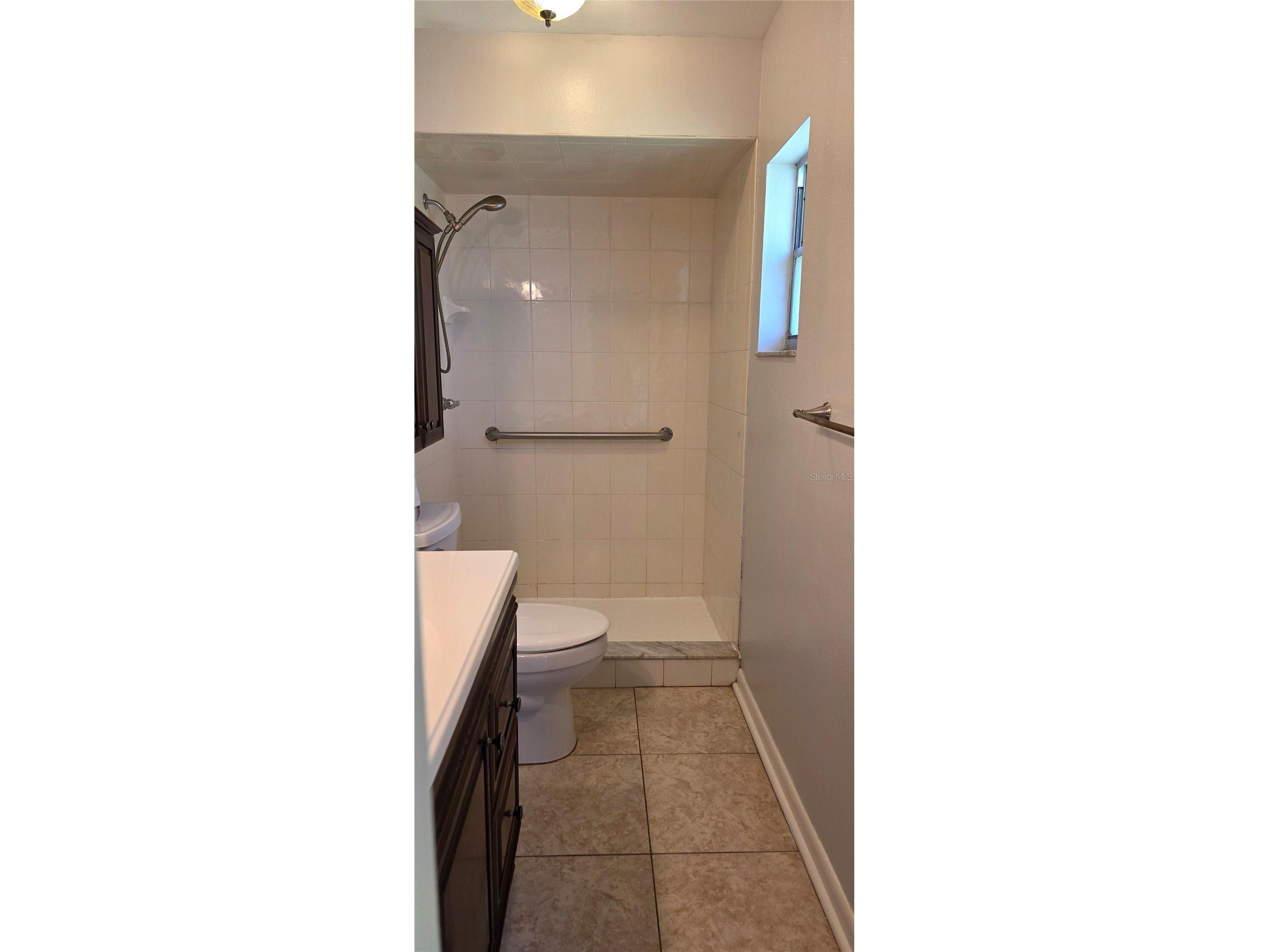16518 Silverhill Drive Tampa FL 33624 TB8519182 image11