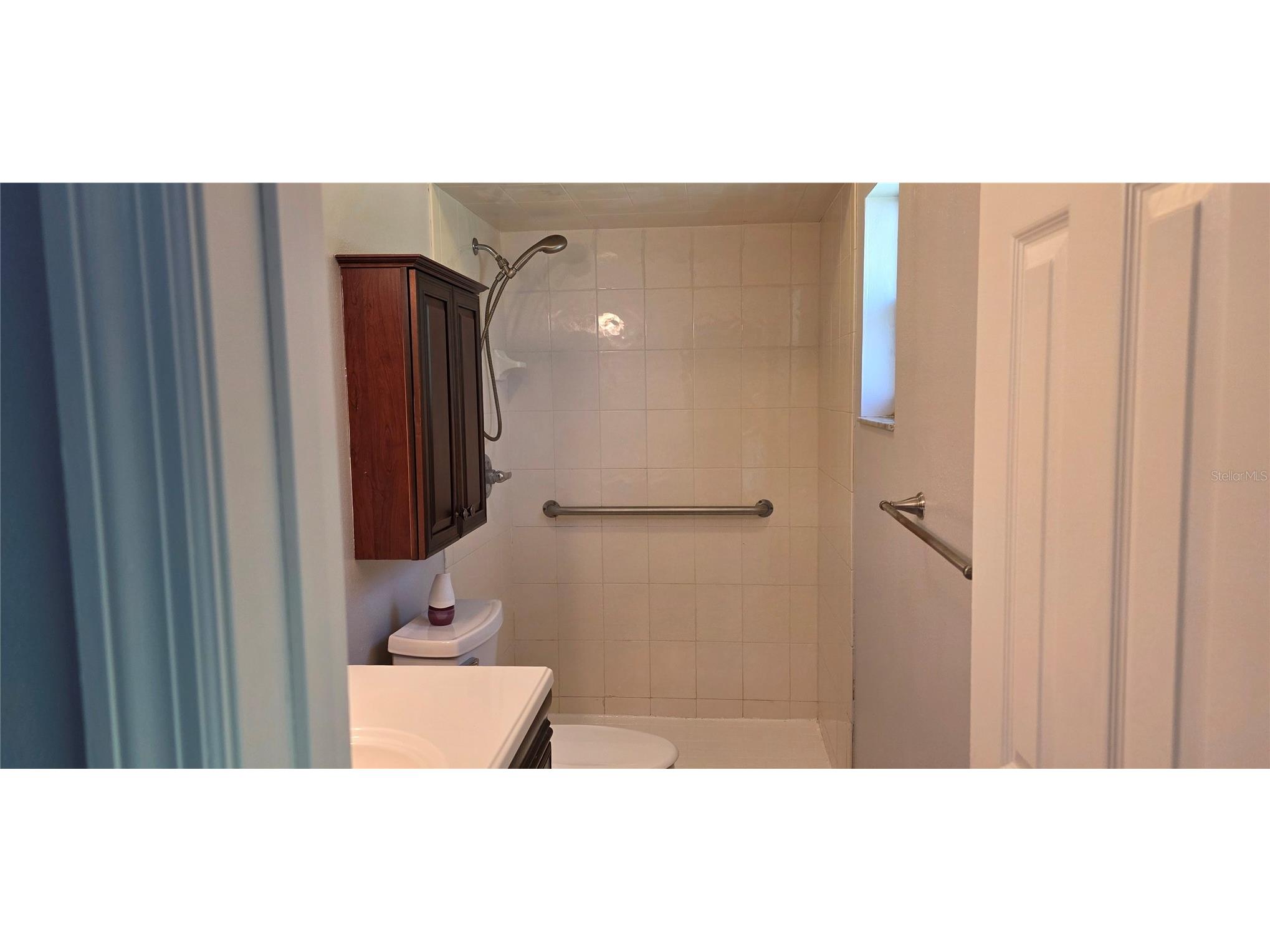16518 Silverhill Drive Tampa FL 33624 TB8519182 image14