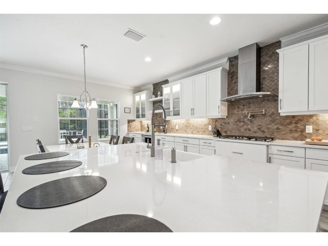 16519 Frehley Run Land O Lakes FL 34638 TB8438880 image23