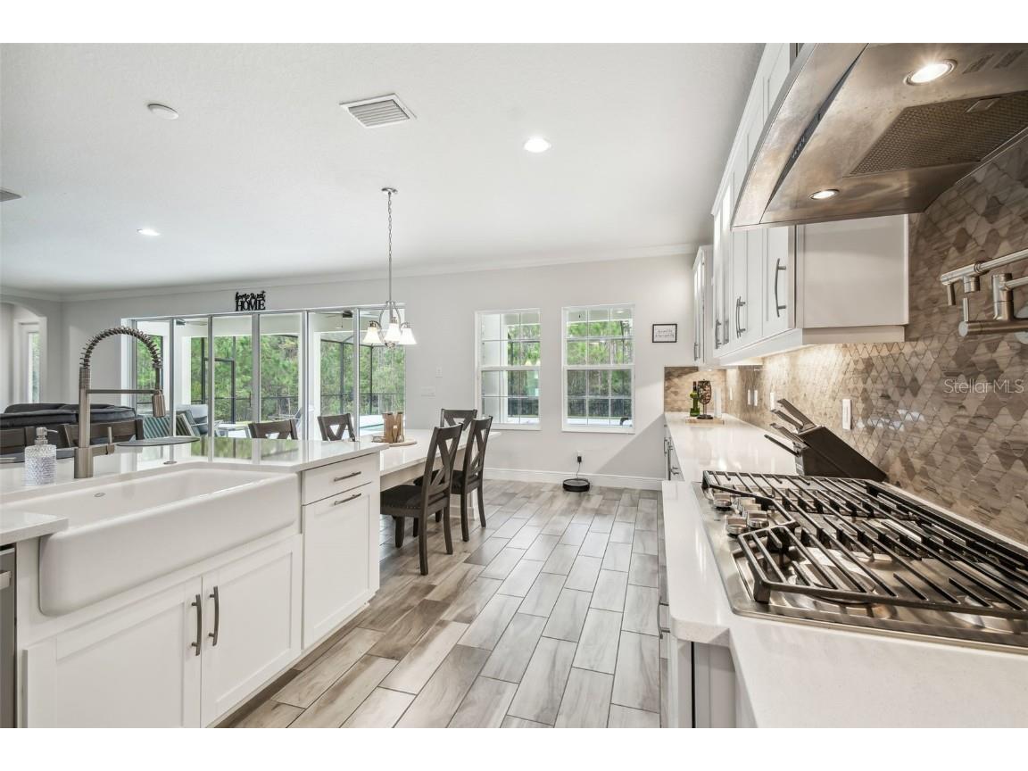 16519 Frehley Run Land O Lakes FL 34638 TB8438880 image26