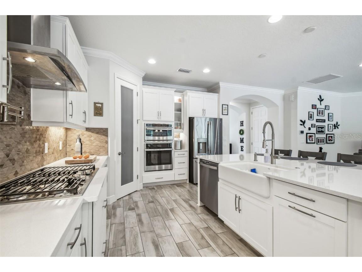 16519 Frehley Run Land O Lakes FL 34638 TB8438880 image28