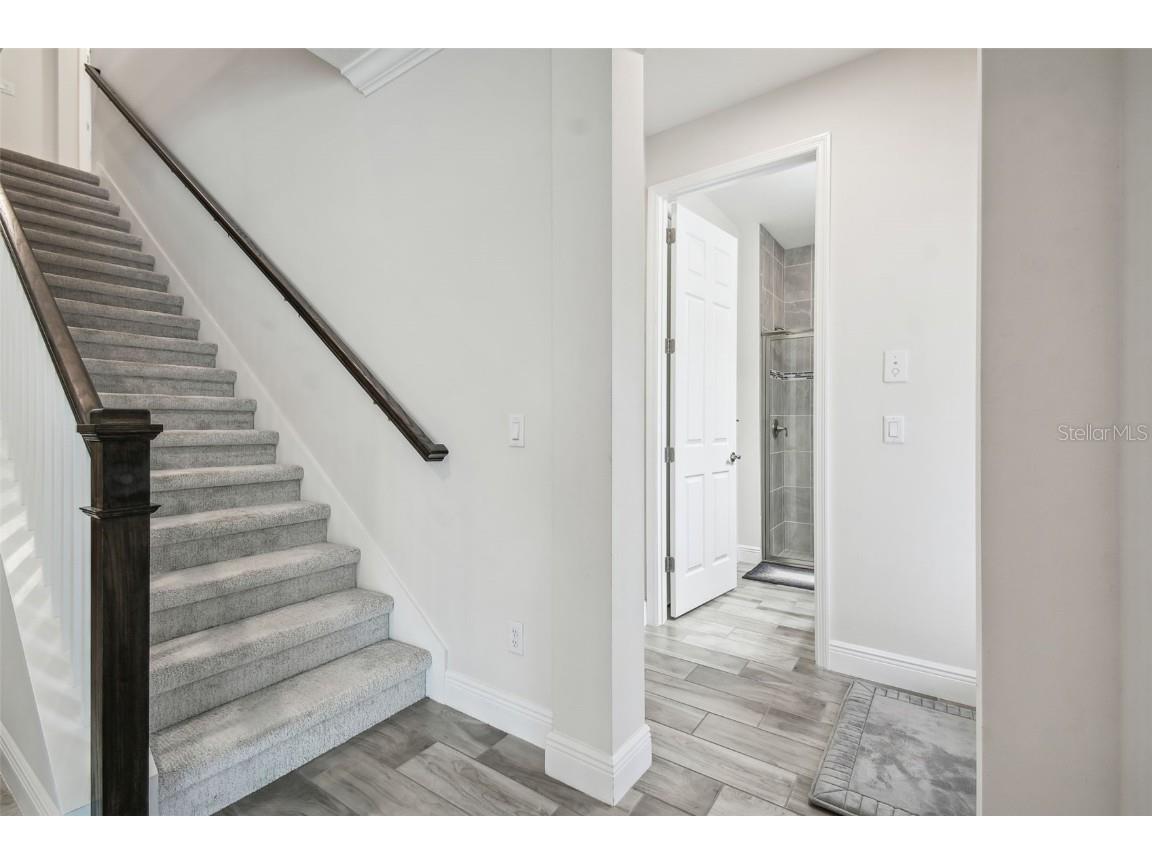 16519 Frehley Run Land O Lakes FL 34638 TB8438880 image40