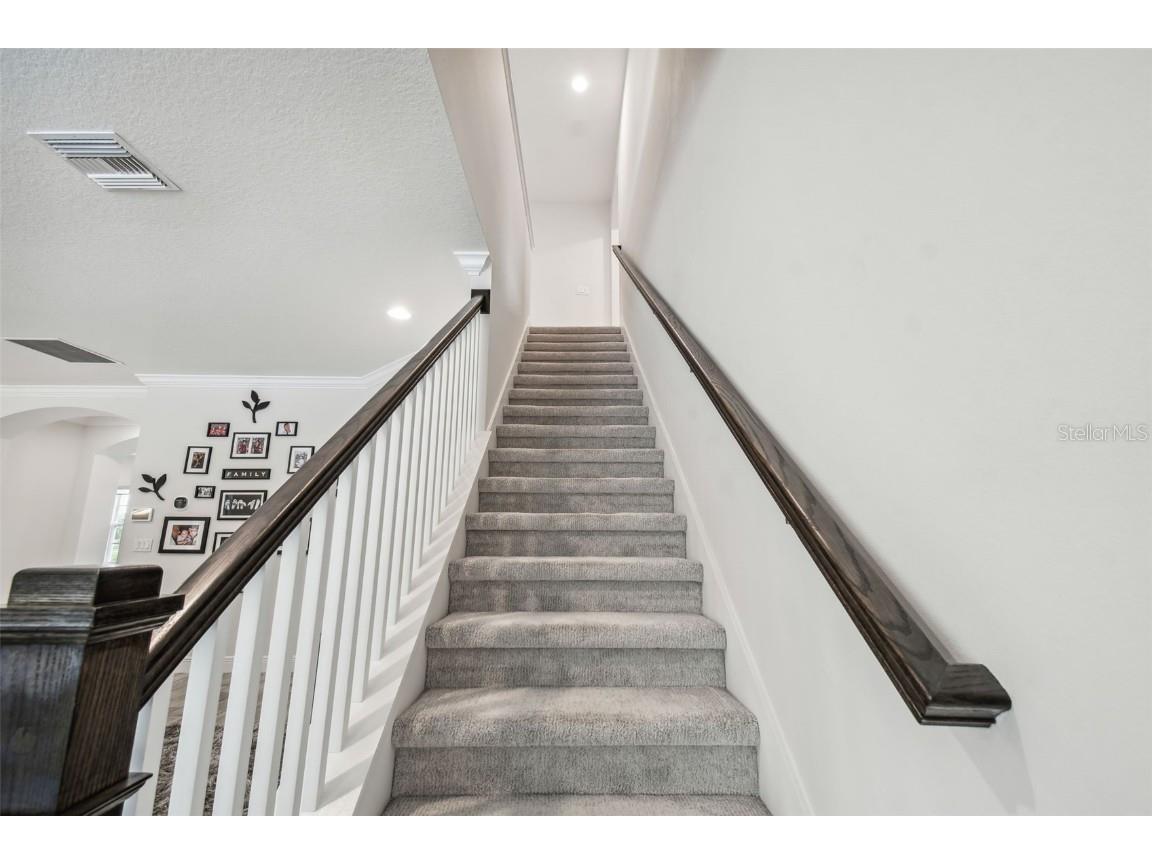 16519 Frehley Run Land O Lakes FL 34638 TB8438880 image41