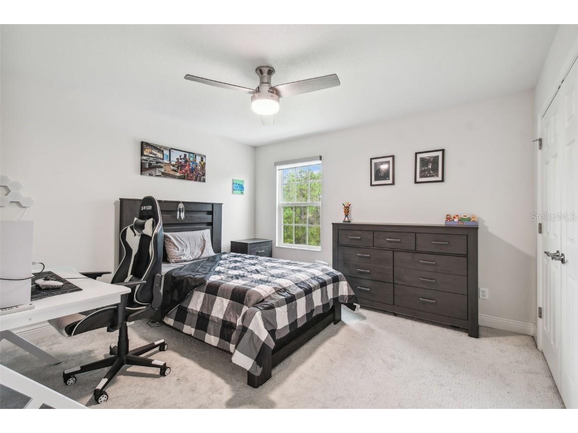 16519 Frehley Run Land O Lakes FL 34638 TB8438880 image48