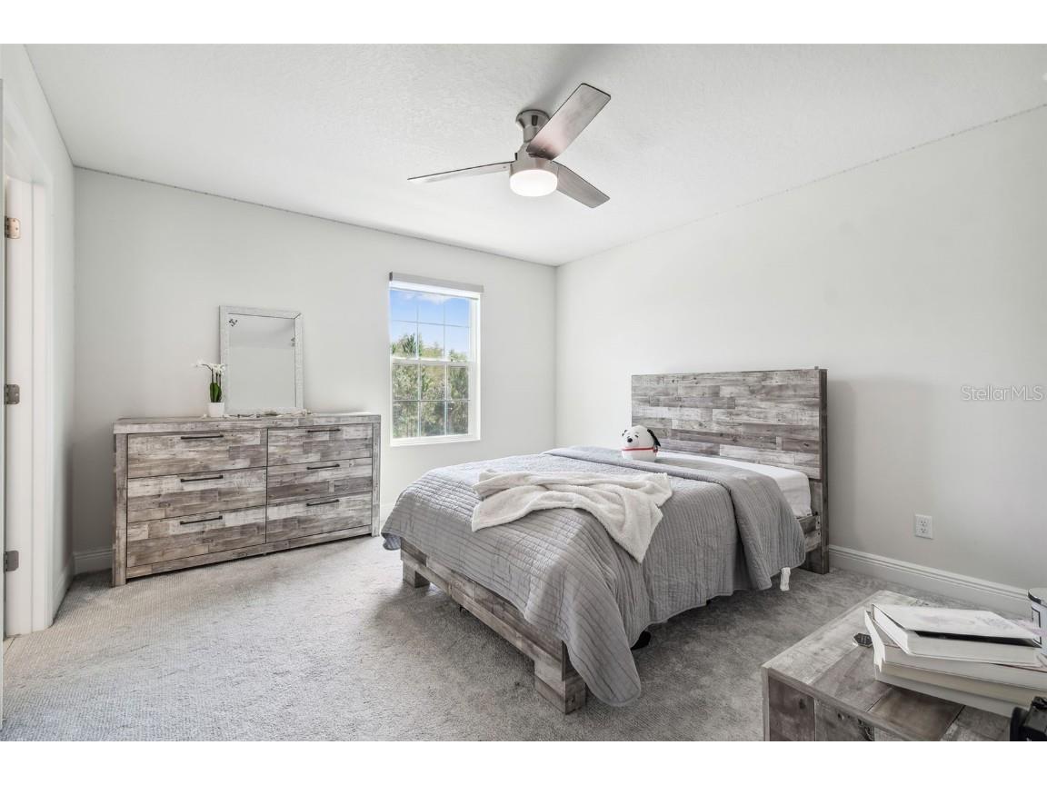 16519 Frehley Run Land O Lakes FL 34638 TB8438880 image56