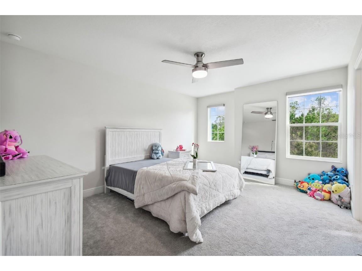 16519 Frehley Run Land O Lakes FL 34638 TB8438880 image64