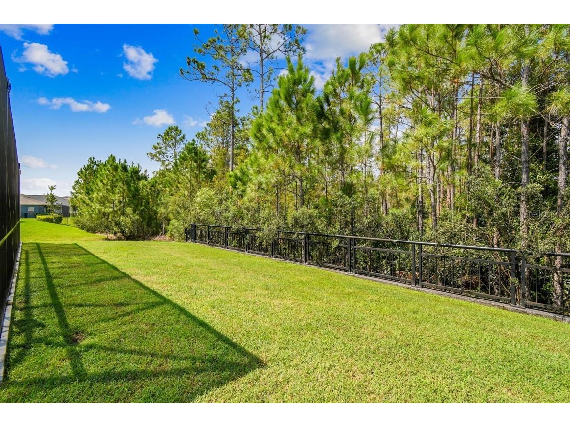 16519 Frehley Run Land O Lakes FL 34638 TB8438880 image85