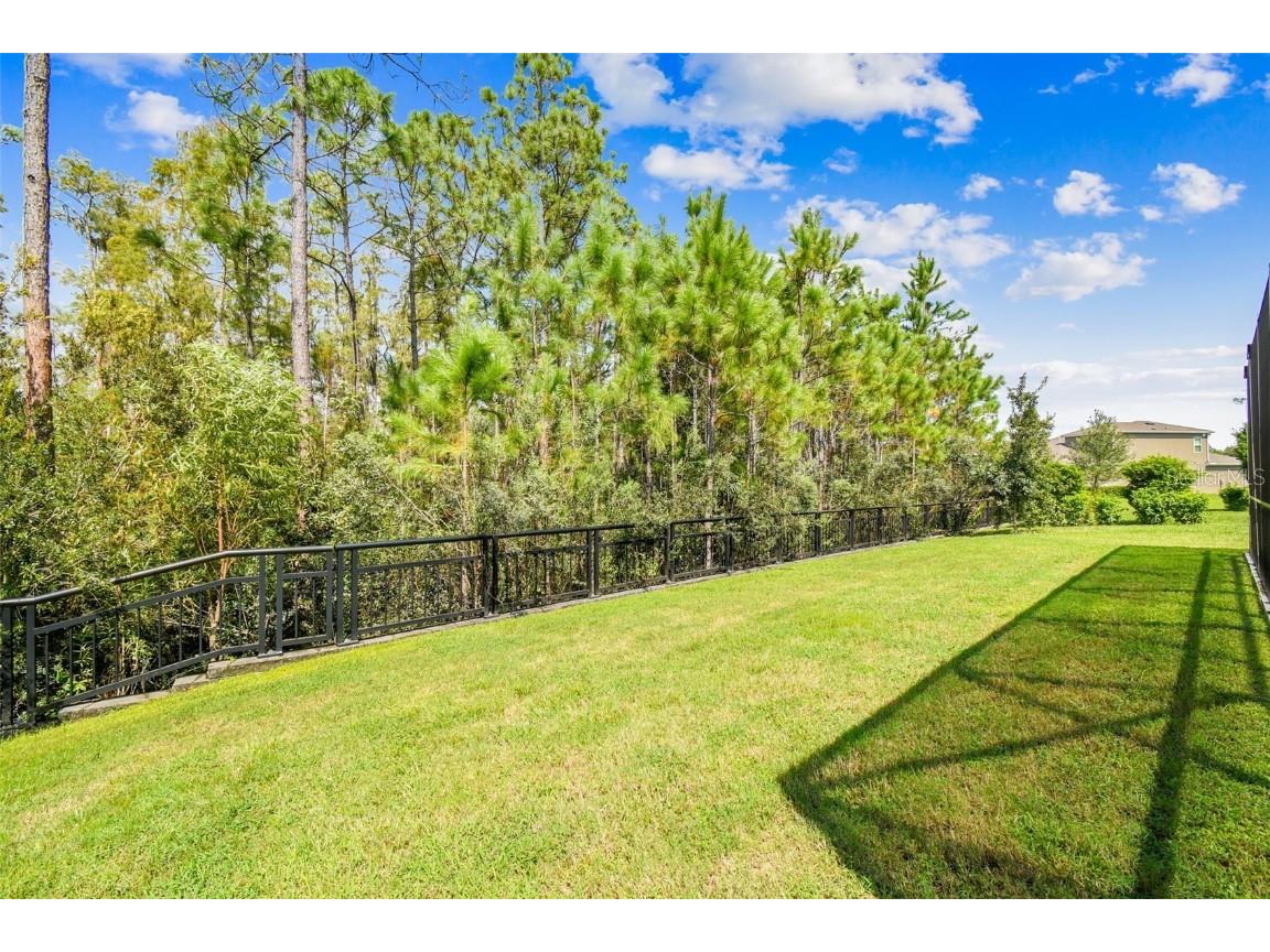 16519 Frehley Run Land O Lakes FL 34638 TB8438880 image89