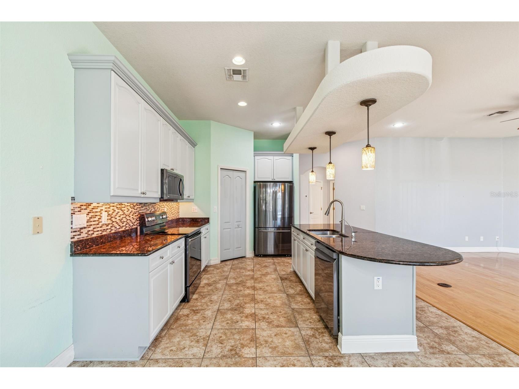 1652 Citrine Trail Tarpon Springs FL 34689 TB8466481 image11