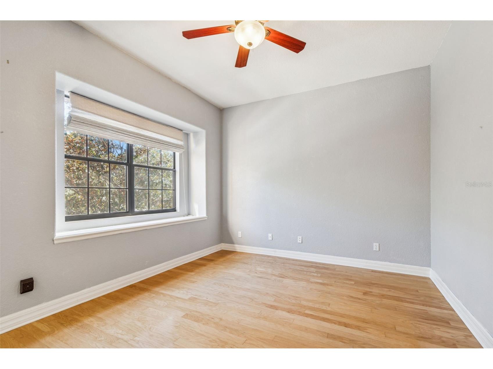 1652 Citrine Trail Tarpon Springs FL 34689 TB8466481 image23