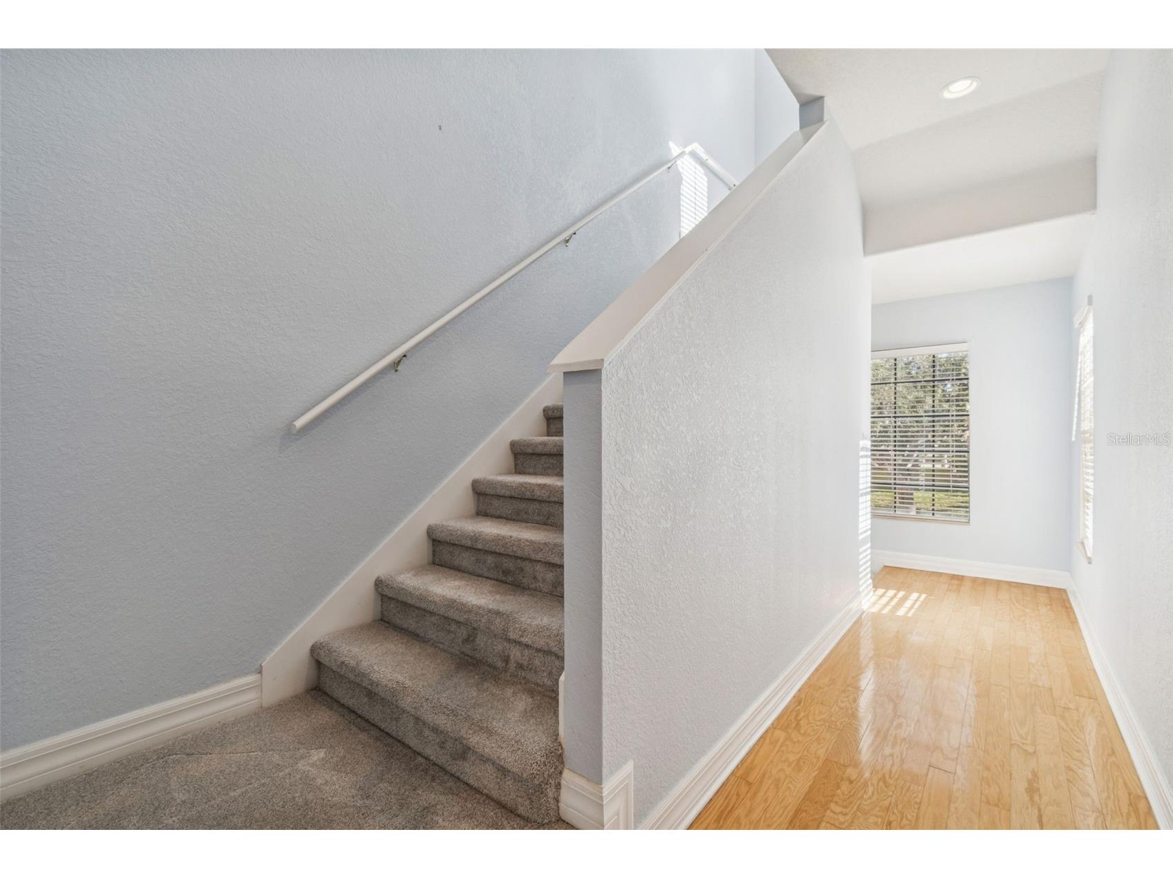 1652 Citrine Trail Tarpon Springs FL 34689 TB8466481 image28