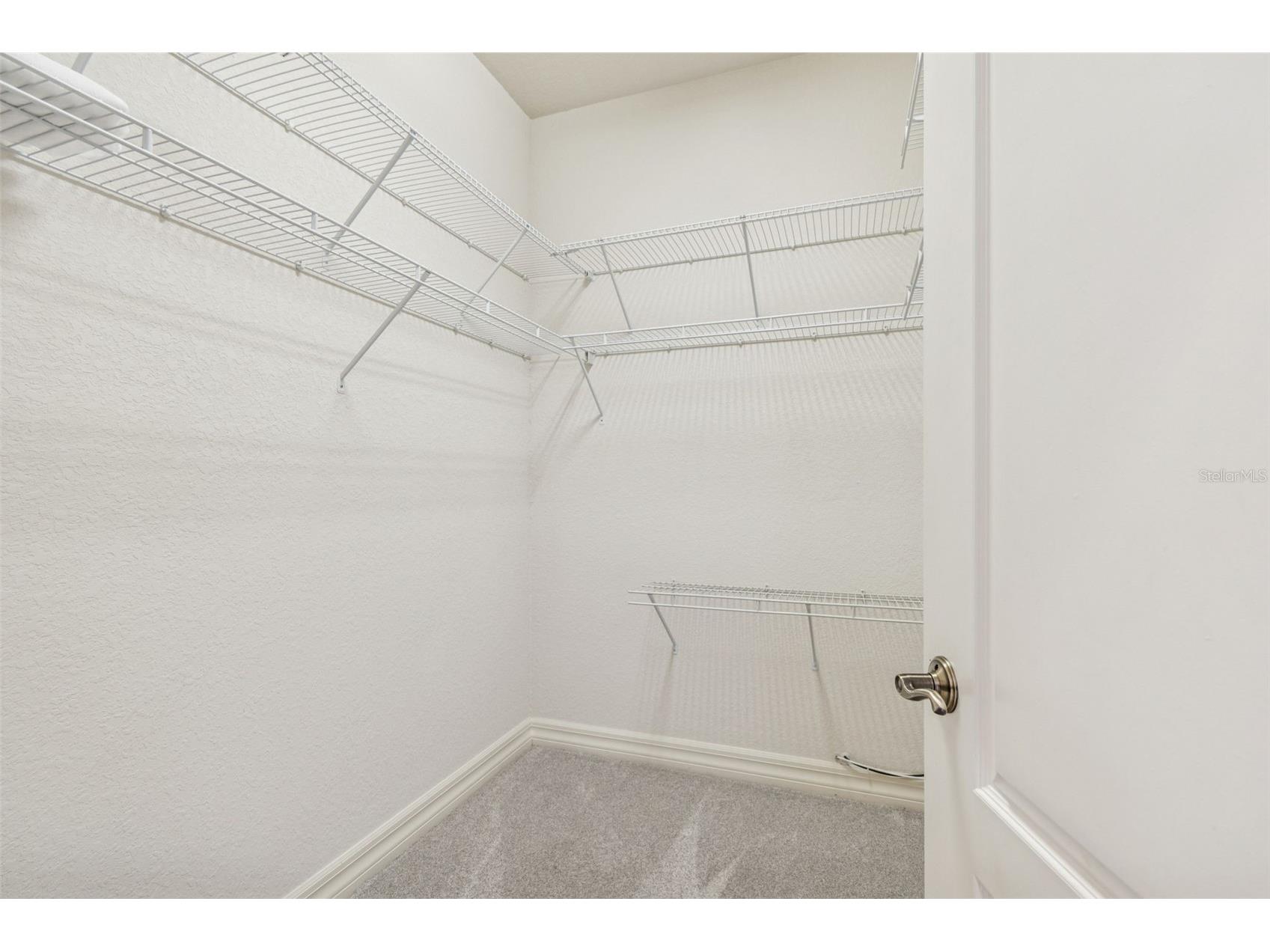 1652 Citrine Trail Tarpon Springs FL 34689 TB8466481 image40