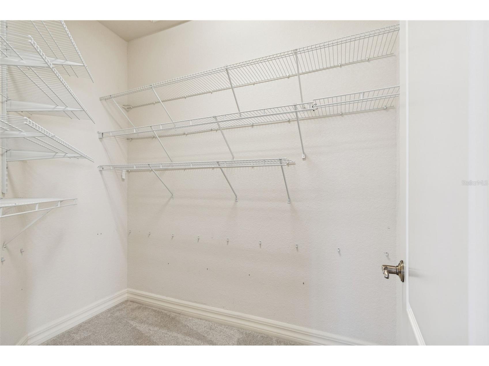1652 Citrine Trail Tarpon Springs FL 34689 TB8466481 image41
