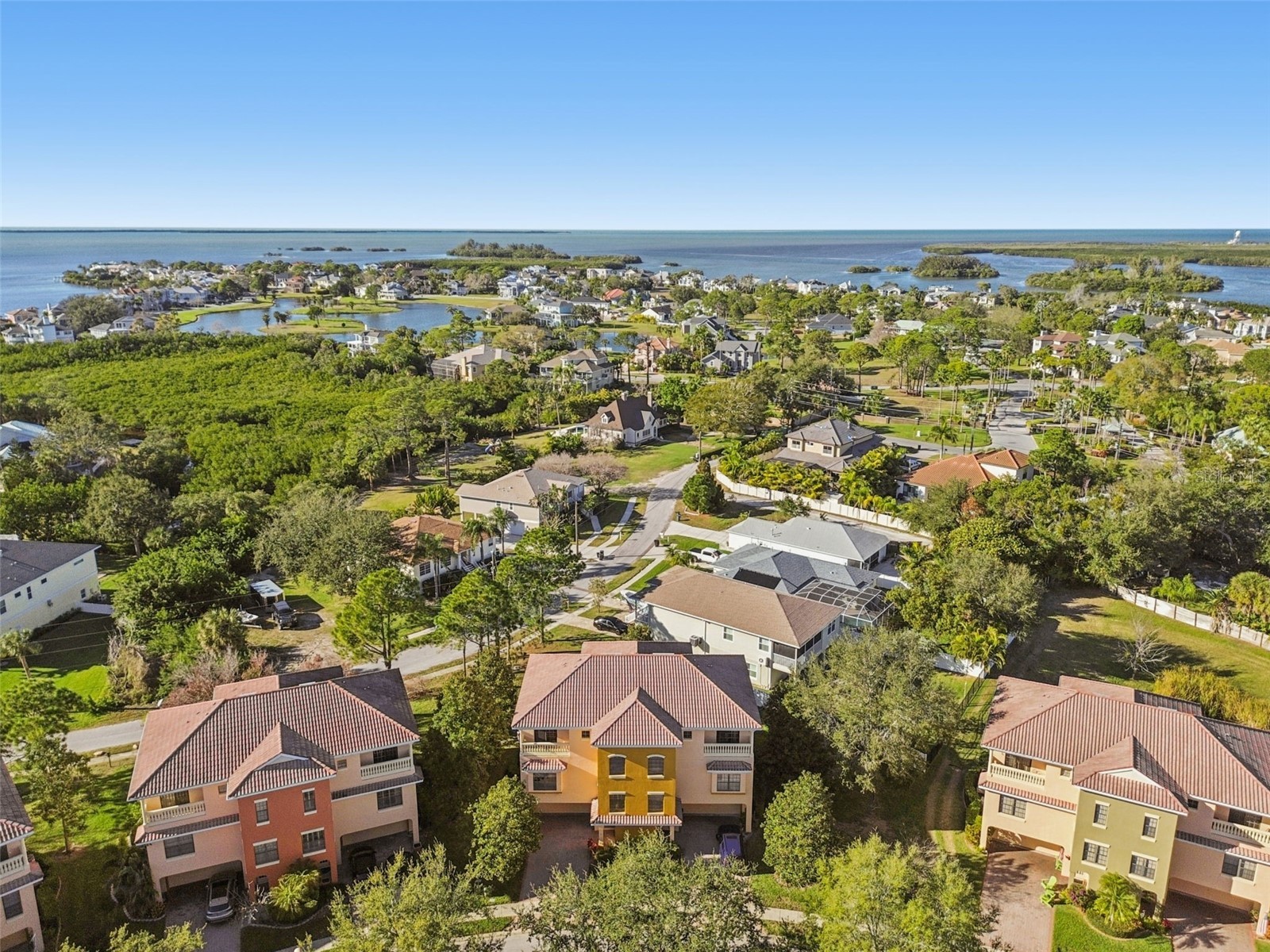 1652 Citrine Trail Tarpon Springs FL 34689 TB8466481 image59