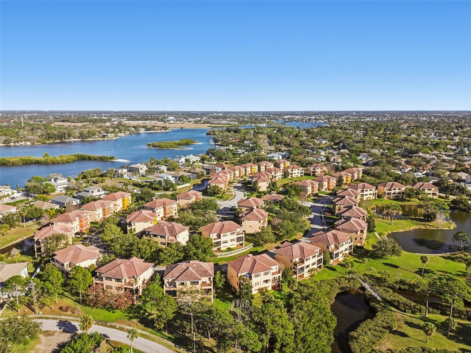 1652 Citrine Trail Tarpon Springs FL 34689 TB8466481 image63