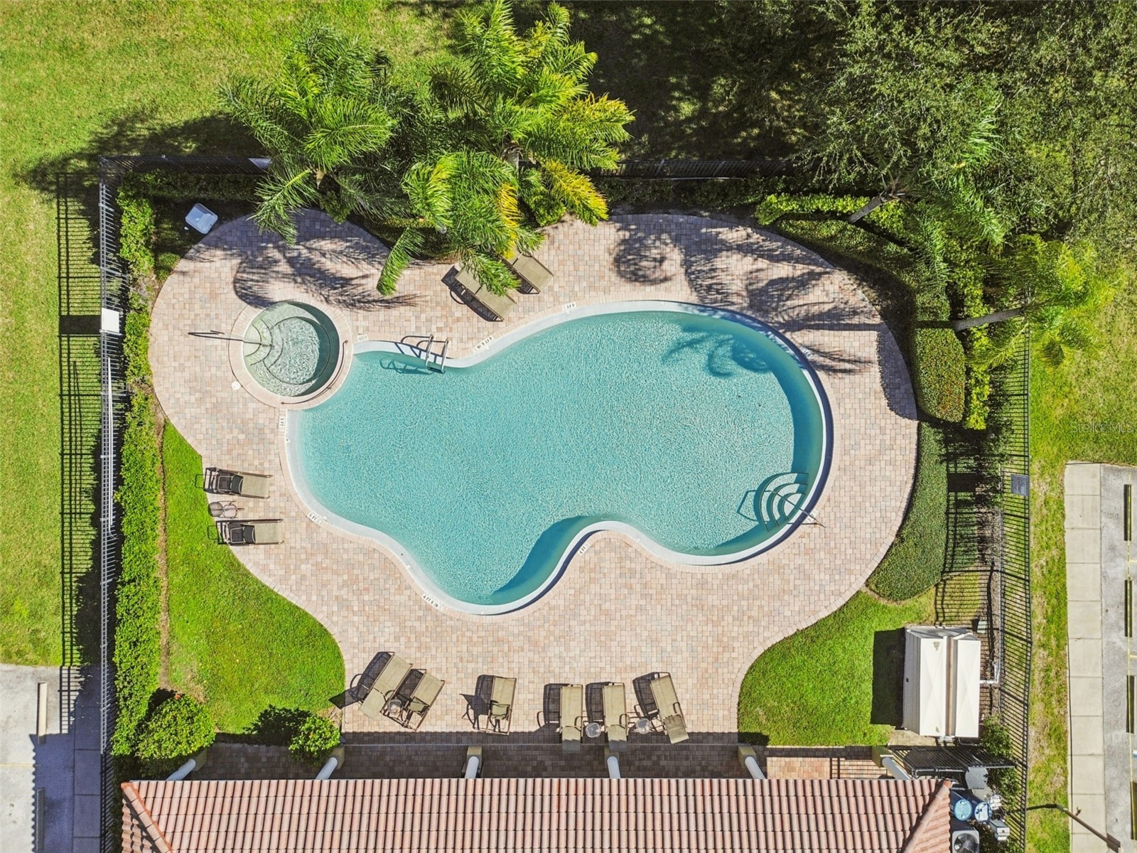 1652 Citrine Trail Tarpon Springs FL 34689 TB8466481 image66