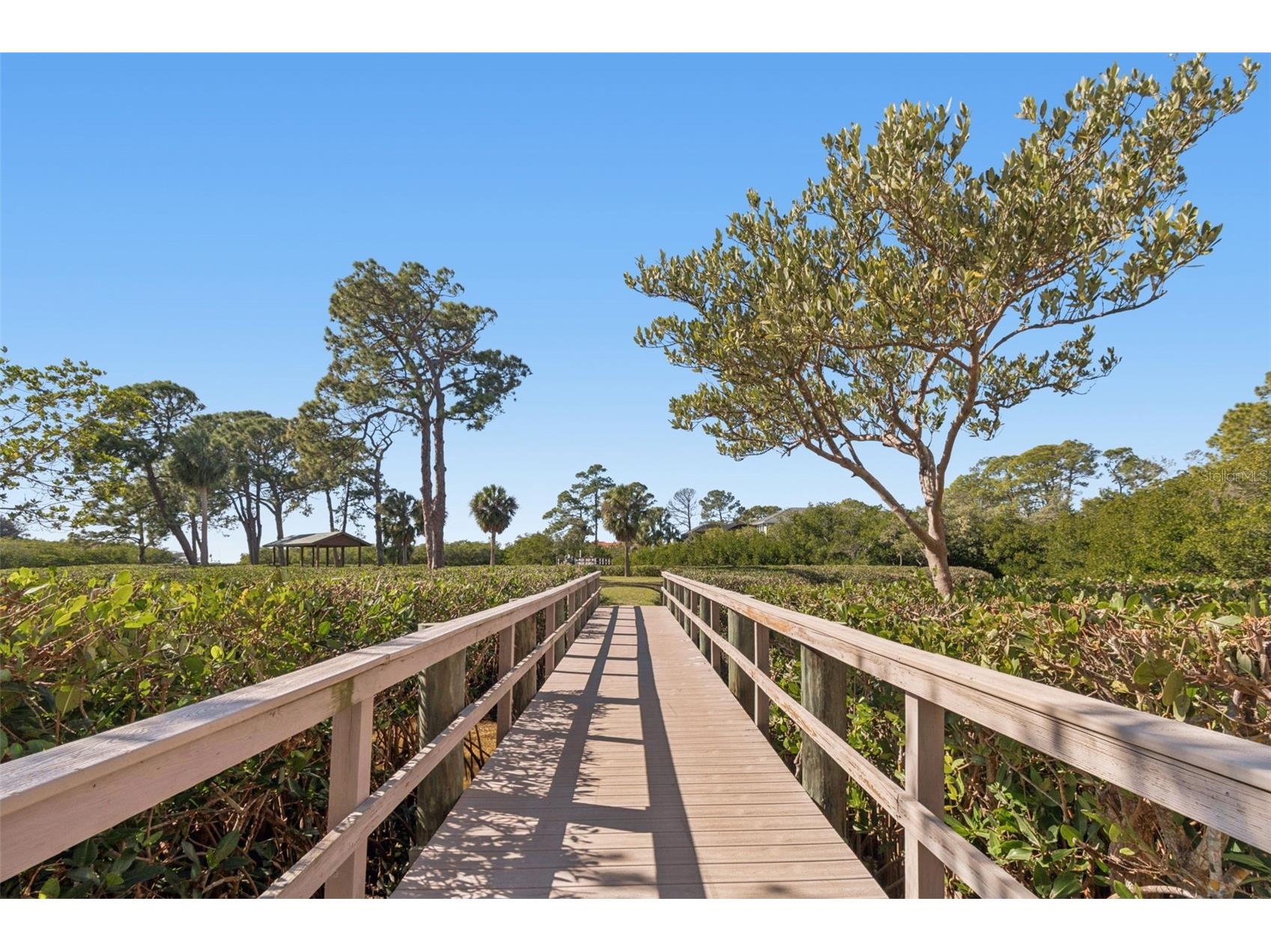 1652 Citrine Trail Tarpon Springs FL 34689 TB8466481 image72