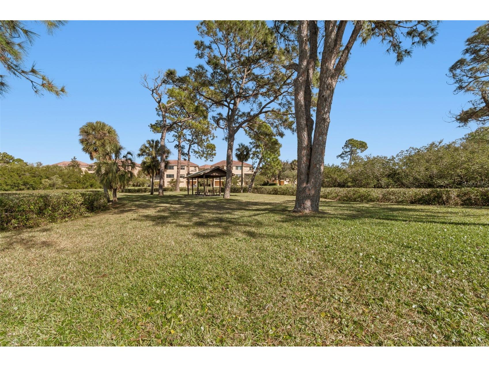 1652 Citrine Trail Tarpon Springs FL 34689 TB8466481 image75