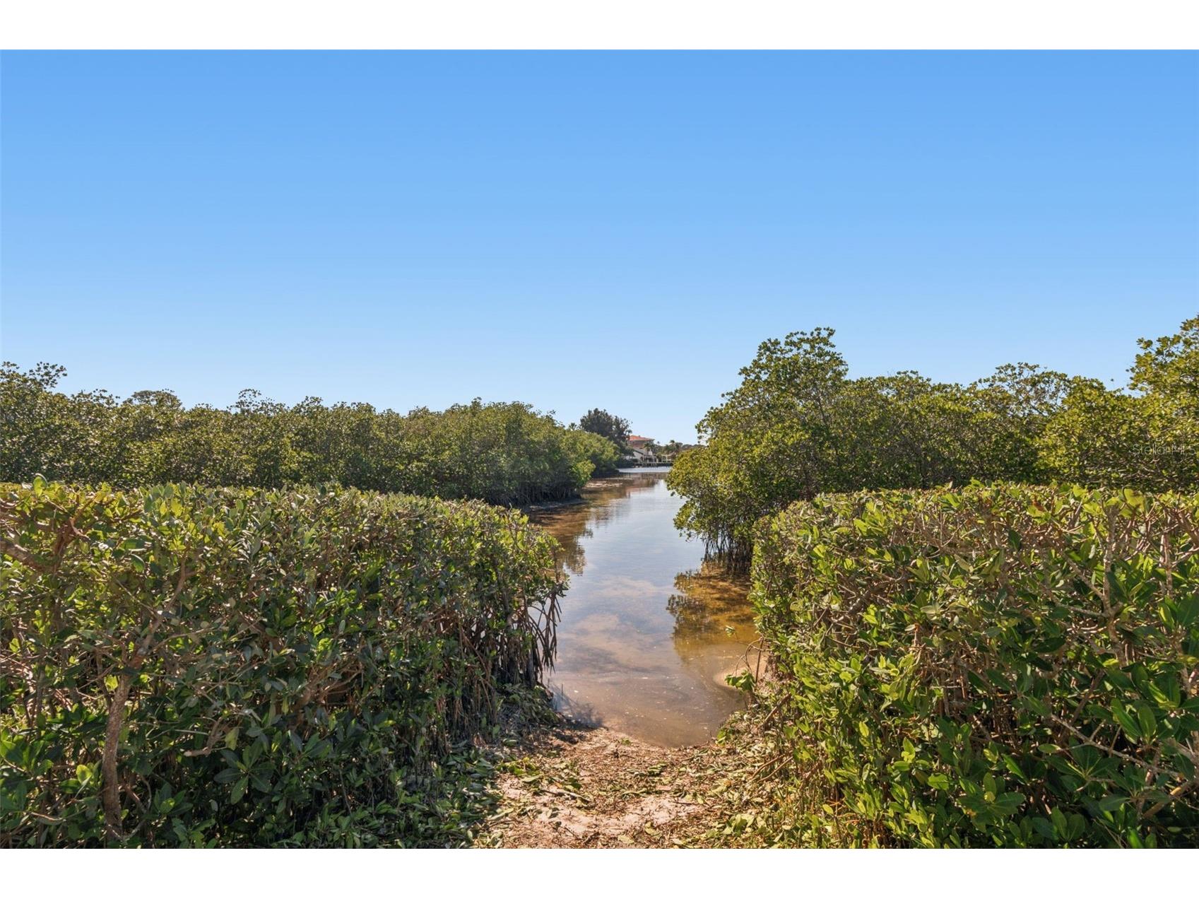 1652 Citrine Trail Tarpon Springs FL 34689 TB8466481 image76