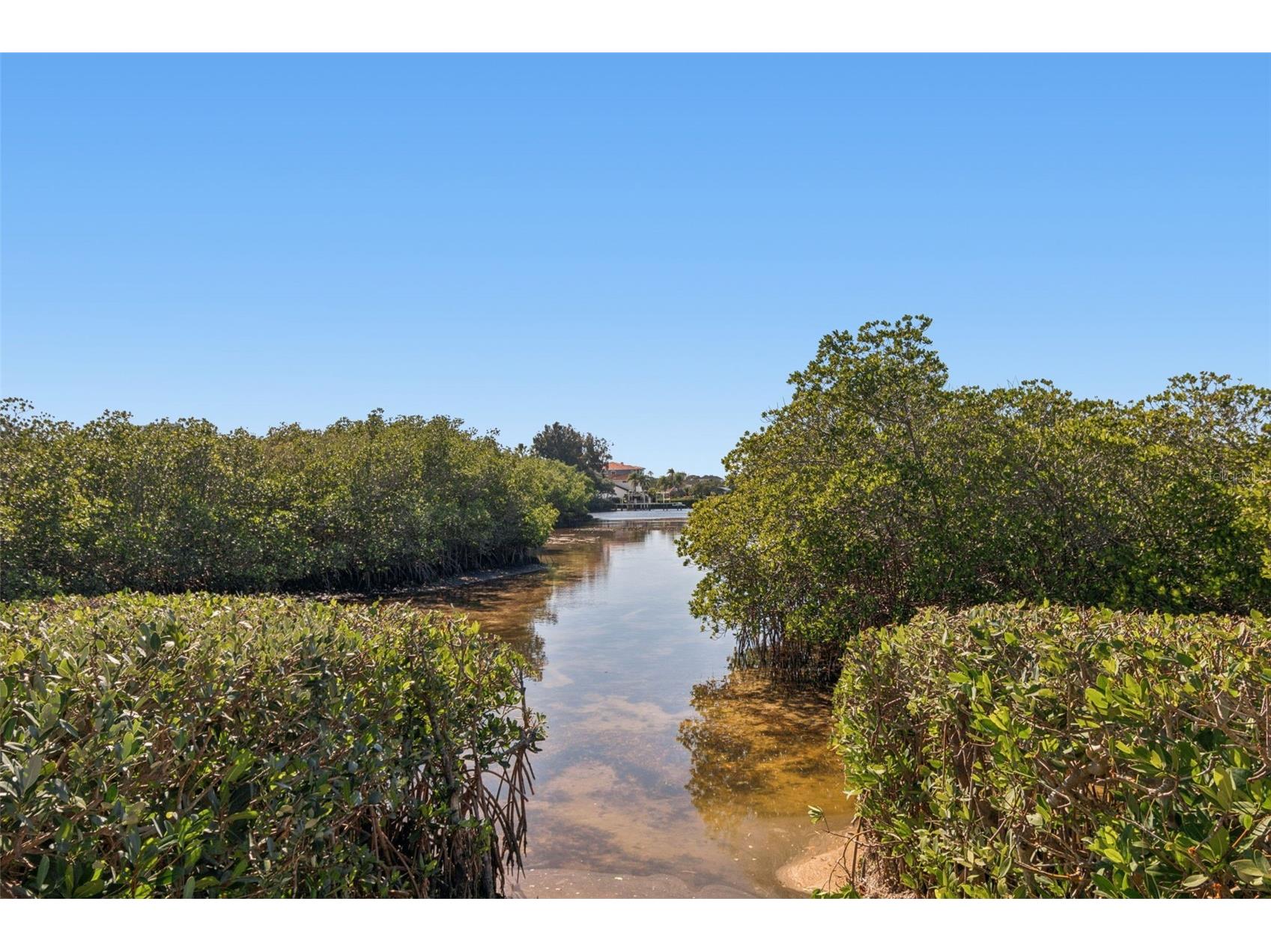 1652 Citrine Trail Tarpon Springs FL 34689 TB8466481 image77