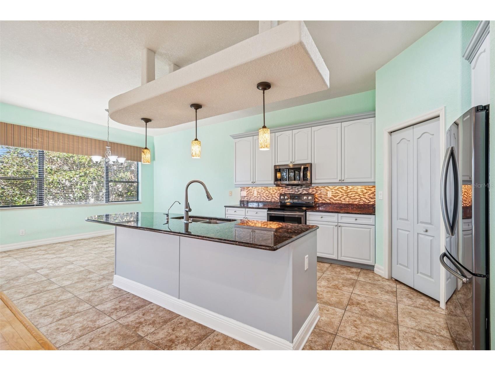 1652 Citrine Trail Tarpon Springs FL 34689 TB8466481 image8