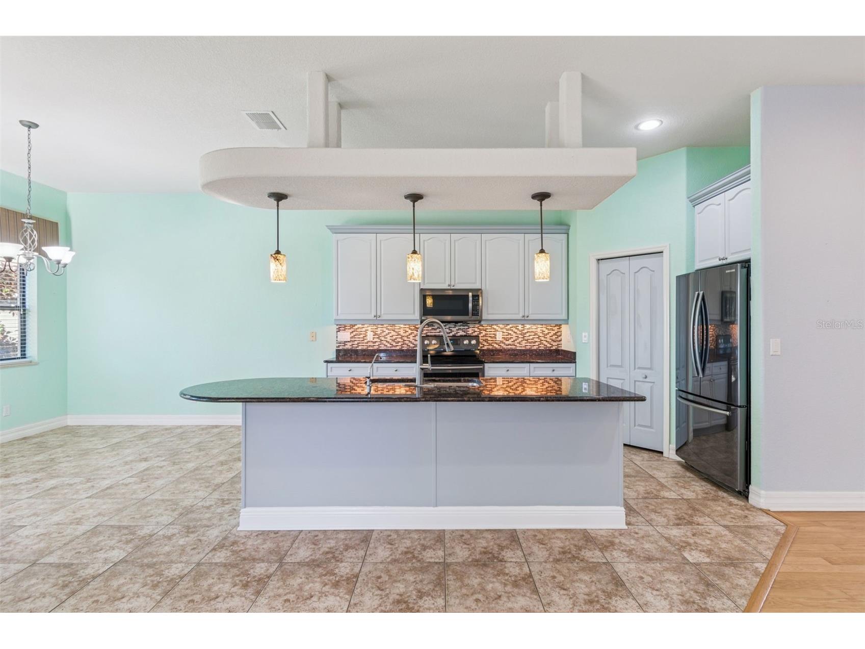 1652 Citrine Trail Tarpon Springs FL 34689 TB8466481 image9