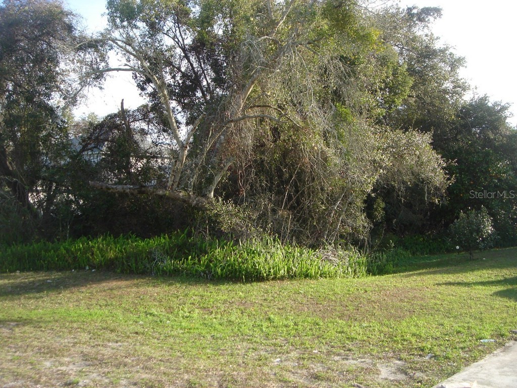 1652 Fort Smith Boulevard Deltona FL 32725 V4928381 image1