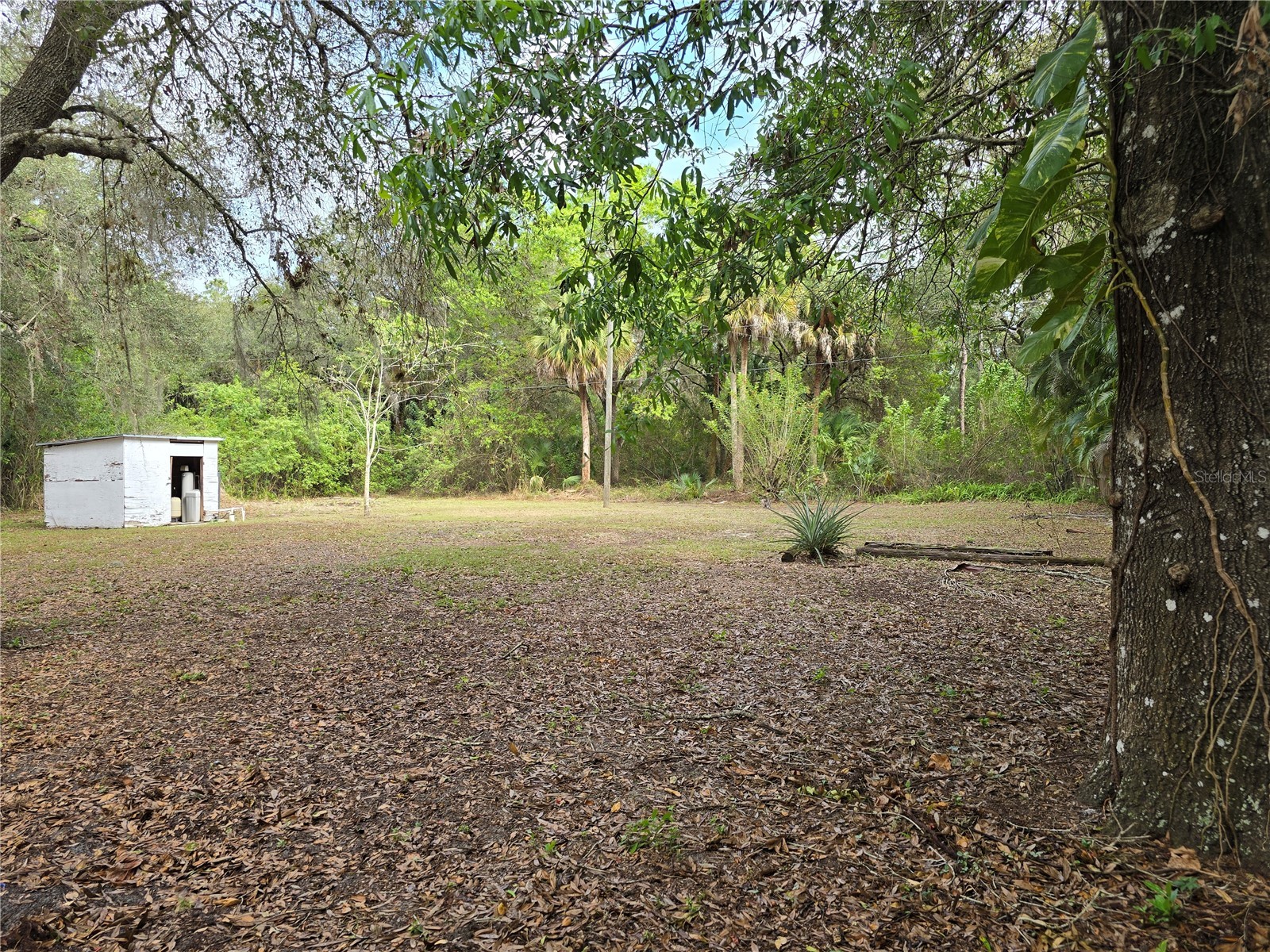 1652 Lake Avenue Lehigh Acres FL 33972 S5142996 image17