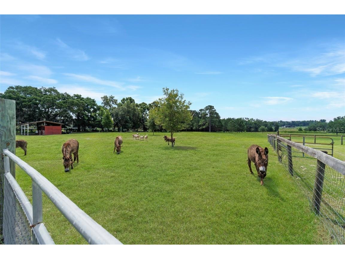 16520 NW 170th Street Williston FL 32696 OM702784 image89