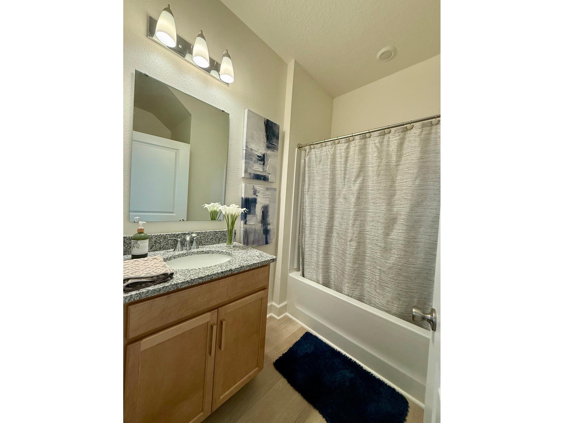16522 Brook Isle Way Clermont FL 34714 O6413402 image15