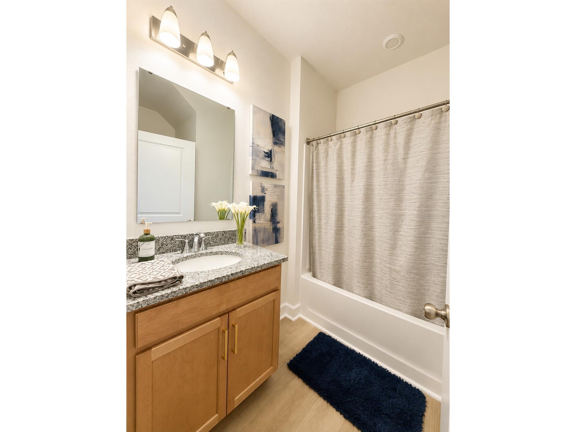 16522 Brook Isle Way Clermont FL 34714 O6421357 image9