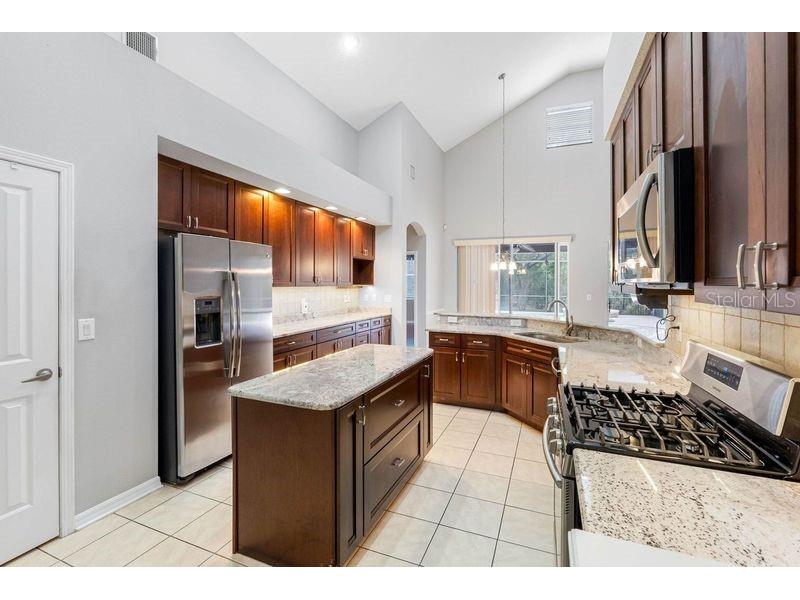 16522 Ivy Lake Drive Odessa FL 33556 TB8372325 image10