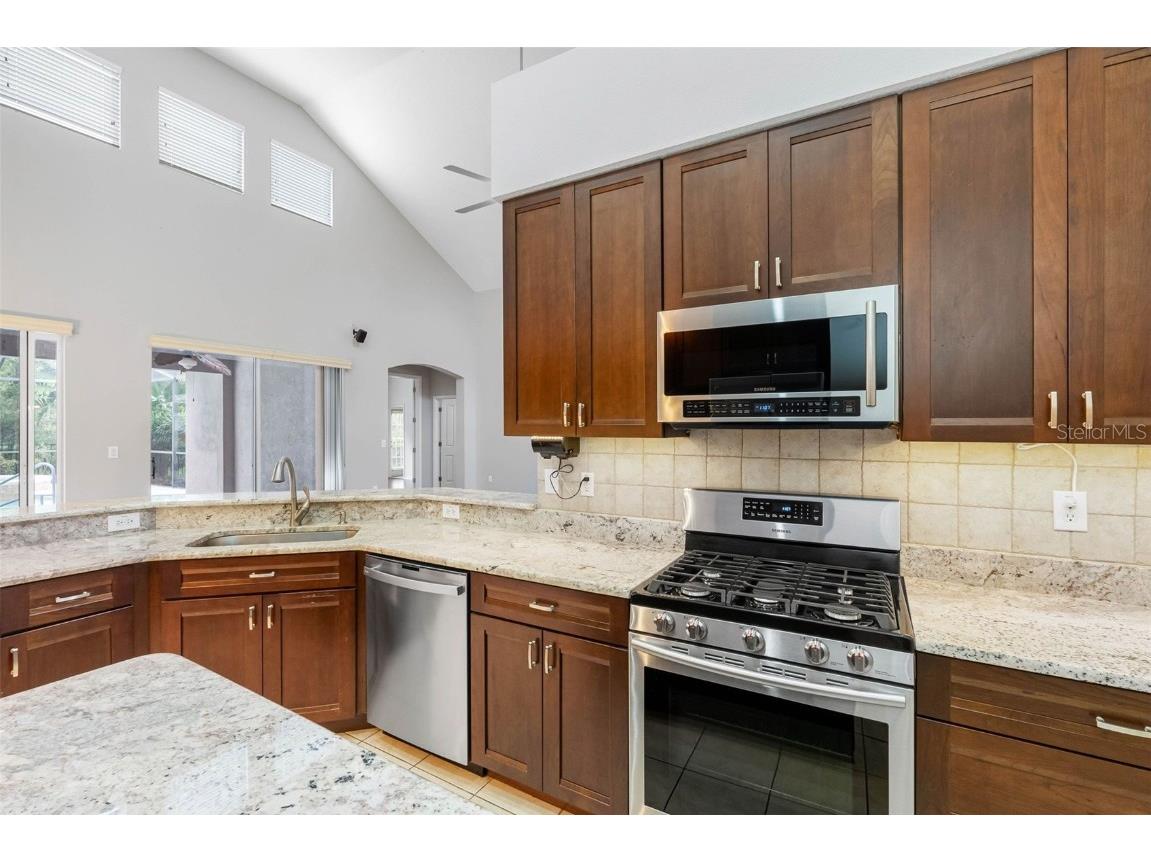 16522 Ivy Lake Drive Odessa FL 33556 TB8372325 image11