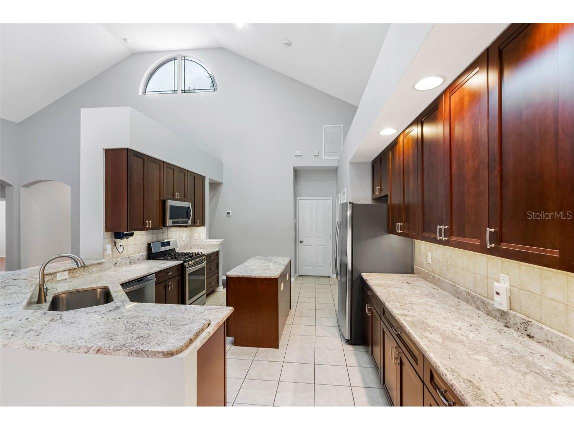 16522 Ivy Lake Drive Odessa FL 33556 TB8372325 image12