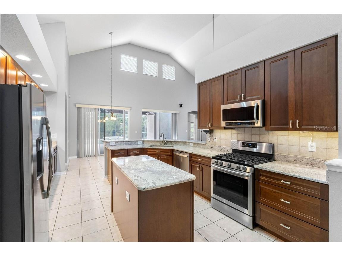 16522 Ivy Lake Drive Odessa FL 33556 TB8372325 image13