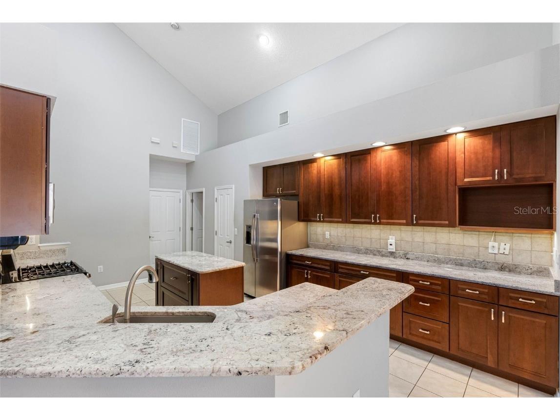 16522 Ivy Lake Drive Odessa FL 33556 TB8372325 image14