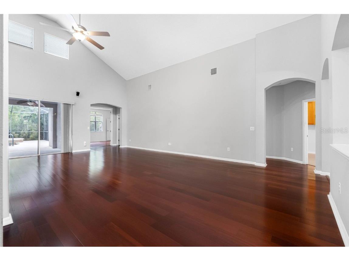 16522 Ivy Lake Drive Odessa FL 33556 TB8372325 image15