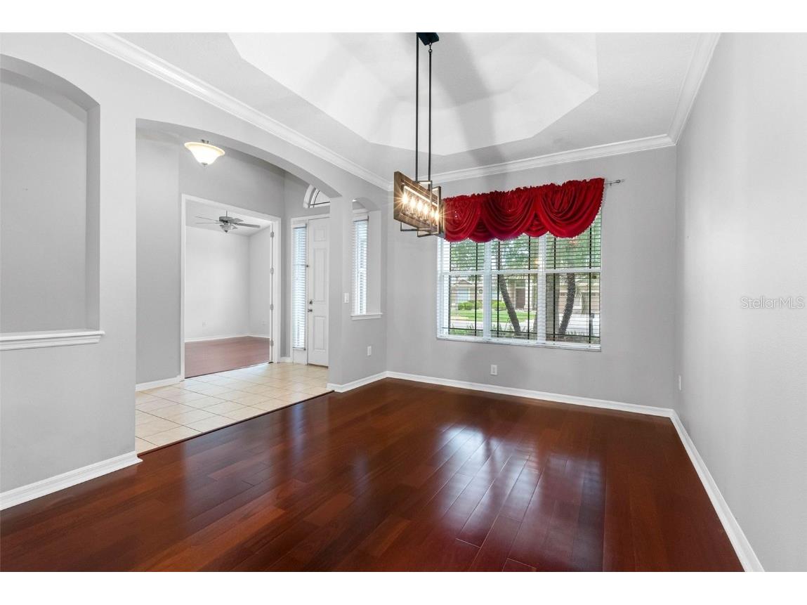 16522 Ivy Lake Drive Odessa FL 33556 TB8372325 image17