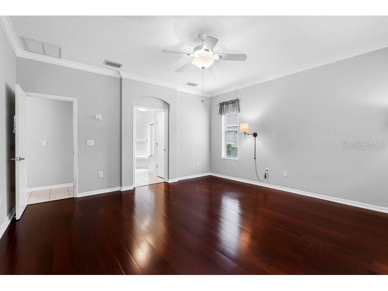 16522 Ivy Lake Drive Odessa FL 33556 TB8372325 image23