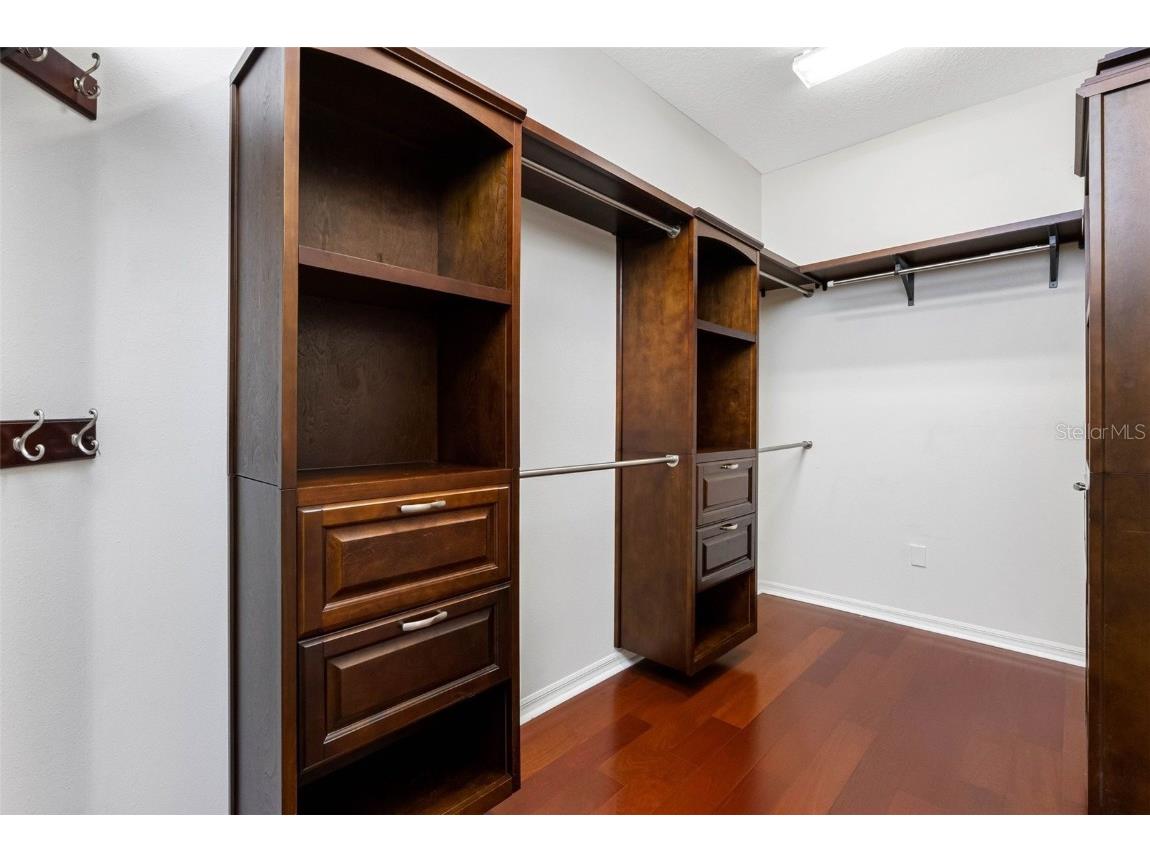 16522 Ivy Lake Drive Odessa FL 33556 TB8372325 image24